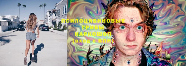 прущий лед Аркадак